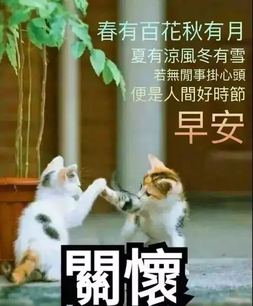  12月19日超好看的冬季早安图片带字精选,太阳升起早上好图片表情