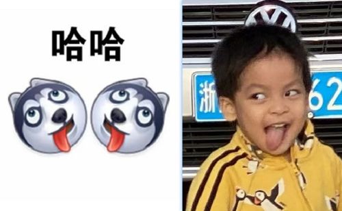  李佳航儿子正面照,伸舌头撞脸二哈表情包,才3岁偶像包袱就掉了