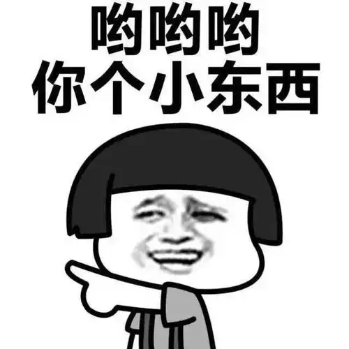  表情包社会你王哥,图多话不多