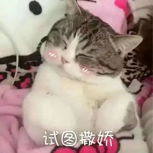  最美寝室致最美最靓的你