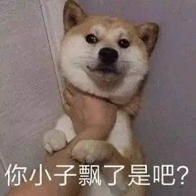  狗狗搞笑表情包受够了生活的苦