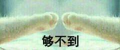  绥化哪里有跑腿服务公司