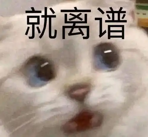 表情包阿狸是啥意思不好