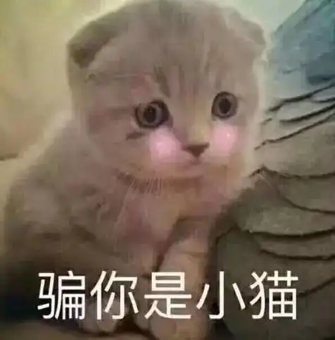 你瞅啥表情包熊猫有请