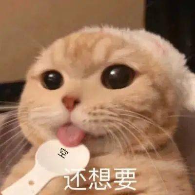  16号线改卧铺南汇实在太大了