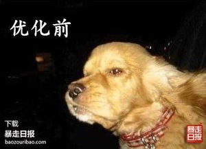  电脑太卡四招让你的电脑快到飞起