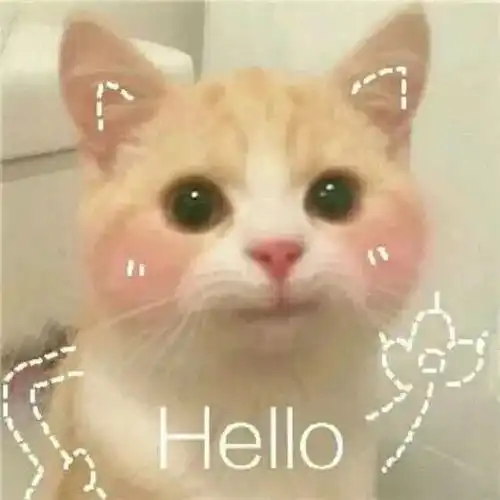 算我求你的表情包猫小森