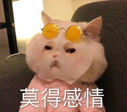  周末的天气很稳定多云到晴,这个时间段更适合晾晒哦