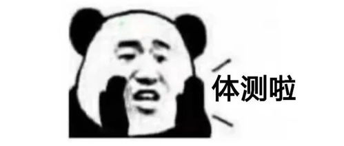  体测