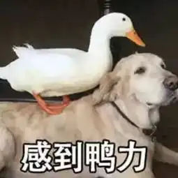  刚被暑假游掏空钱包还想在十一体面出游这些省钱出游趋势你不可不知