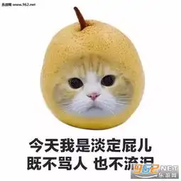  今天我是我不骂人只是流泪表情包今天我是流泪猫猫头猫咪水果系列表情包图片下载乐游网游戏下载