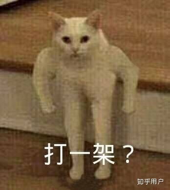  你做过什么精彩的表情包
