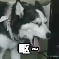  看啊,抖音上有一群病人周三的梗