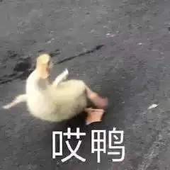  双台风冷空气三重来袭海南明天最低气温19