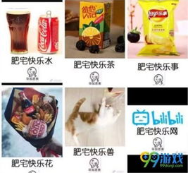  快乐肥宅水是啥东西