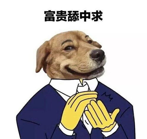  有什么好玩的舔狗表情包吗