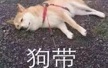  6平米,一口价88万,秒被抢光平民为房疯狂,富人已开始逃亡搜狐财经搜狐网