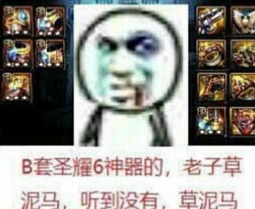  dnf表情包b套圣耀六神器的,怎么可能,听到没有