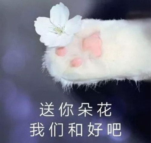  笑话段子快回去吧明年清明节放假我还会回来的