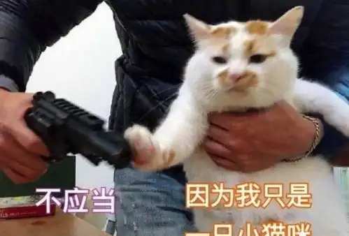 当榴莲遇上猫猫狗狗,它们的反应仿佛看见了自己 当榴莲遇上猫猫狗狗,它们的反应仿佛看见了自己