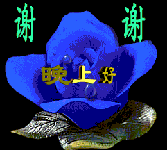 最美晚上好问候语动态表情图片  最美晚上好问候语动态表情图片
