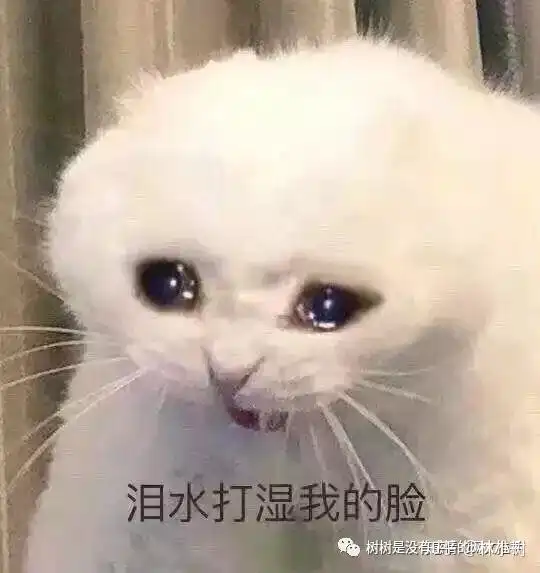  有什么好看网文,最近书荒了