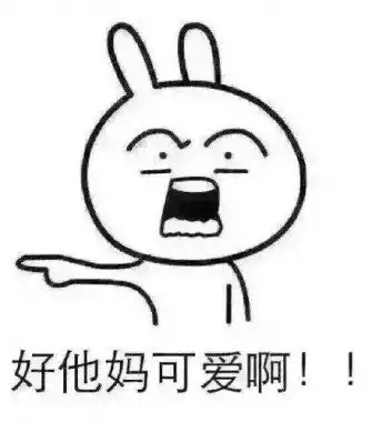  妈我要娶她表情包23p