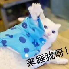  猫咪撩老公表情包合集好困困,要老公亲亲才起来