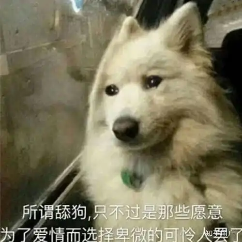  你在爱情里做过最卑微的事情是什么