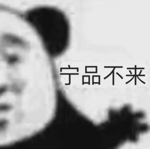  熊猫头表情包i快了已经在做了