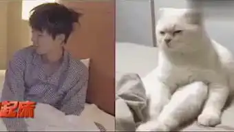  三点一线看目标的个人频道