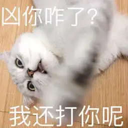 你是我大哥表情包讲理