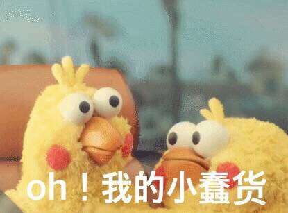 分享一些最近很火的日本鹦鹉的表情包给大家