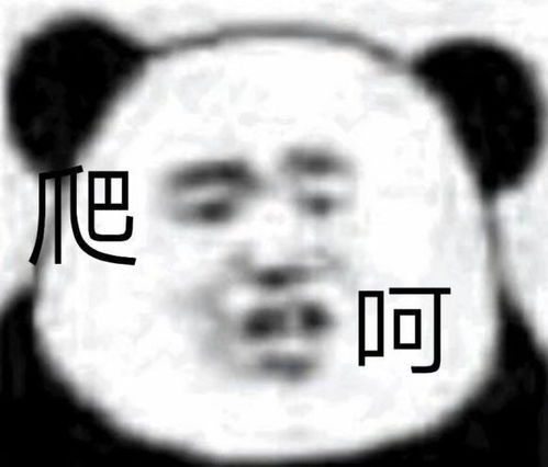  表情包之王必有的表情包