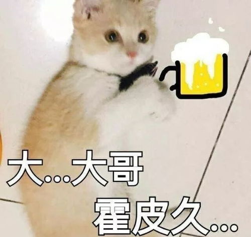  00后ceo狂怼上班族我拿百万投资,你们拿死工资,打着游戏,十年如一日