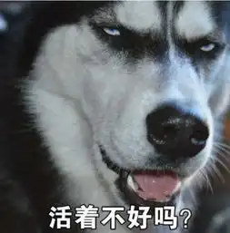  最近哈士奇的凝视表情包火了,就问全宇宙谁比我骚