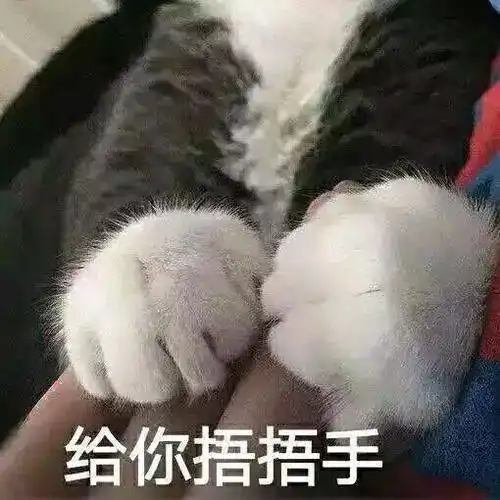 继续摆烂表情包图片溃烂