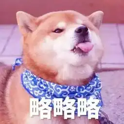  你为什么这么努力因为我家狗子超能花钱