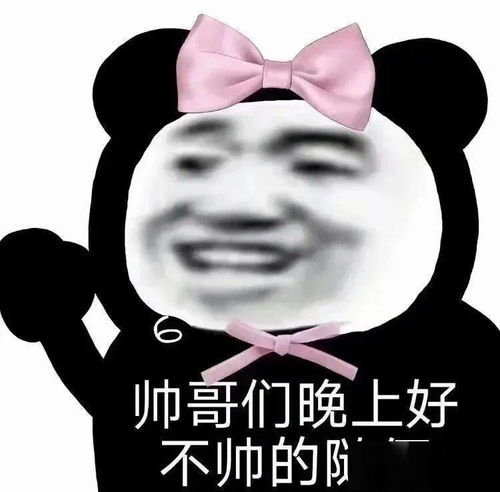  熊猫头表情包i我要...我要嘛...