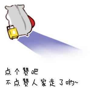  拍照呢,严肃点我不婚纱