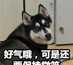  一位太太突发奇想,想让丈夫有个意外惊喜