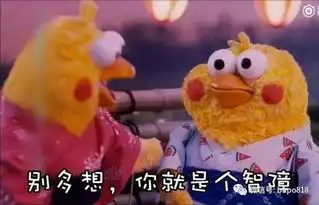 真怂表情包鹦鹉兄弟