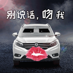 闪亮登场表情包动态
