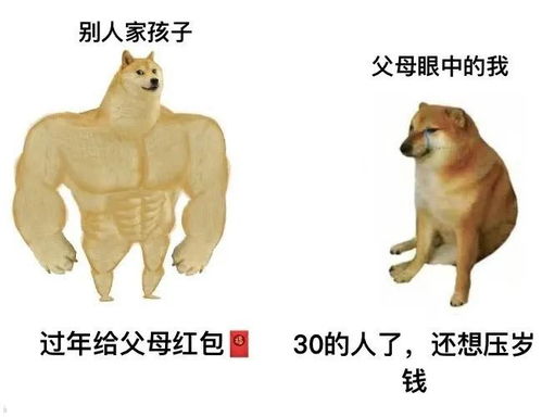  父母眼中的我和别人家的孩子