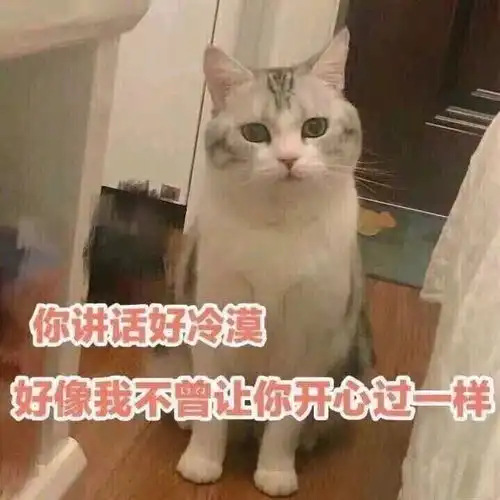  沙雕表情包合集照目前这个形式来看,我应该是失宠了