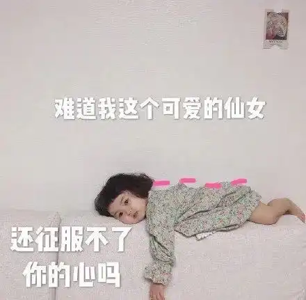  表情包我这小仙女,征服不了你吗