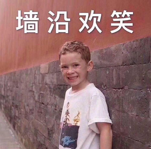 龙爪手表情包