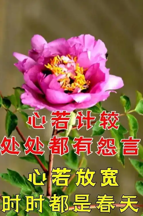 姐妹情深的表情包大家早