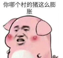 微信表情包什么意思头像