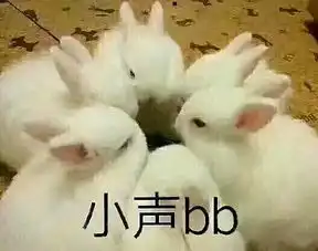 成都人,你爸妈tao你的样子,真像送仙桥的老古董 成都人,你爸妈tao你的样子,真像送仙桥的老古董